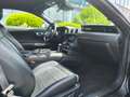 Ford Mustang GT fastback V8 5.0L MAGNERIDE Grau - thumbnail 15