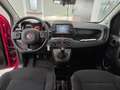 Fiat Panda Cross 1.0 70cv FireFly S&S Hybrid AZIENDALE! Rosso - thumbnail 13