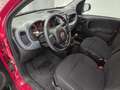 Fiat Panda Cross 1.0 70cv FireFly S&S Hybrid AZIENDALE! Rosso - thumbnail 11