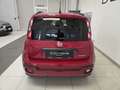 Fiat Panda Cross 1.0 70cv FireFly S&S Hybrid AZIENDALE! Rosso - thumbnail 5