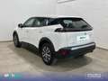 Peugeot 2008 BlueHDI 81kW (110CV) Active Blanc - thumbnail 7