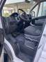 Fiat DUCATO 35XLH1 CABINATO MAXI Wit - thumbnail 7