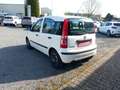 Fiat Panda 1.2 - thumbnail 4