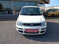Fiat Panda 1.2 - thumbnail 1
