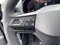 SEAT Ibiza Style Edition 1.0 TSI 95PS Grau - thumbnail 13