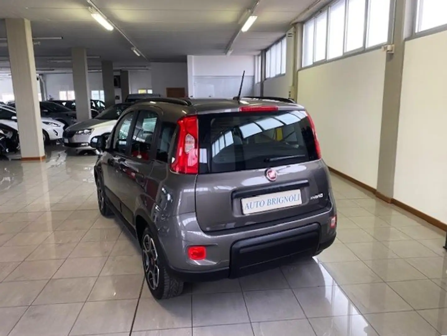 Fiat Panda Panda 1.0 firefly Hybrid City Life  E6 D Grau - 2