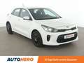 Kia Rio 1.4 Spirit Aut.*PDC*KLIMA*GARANTIE* Weiß - thumbnail 8
