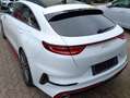 Kia ProCeed / pro_cee'd ProCeed 1.6 T-GDI DCT7 OPF GT Weiß - thumbnail 6