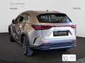 Lexus NX 300h 350h F Sport 4WD Gris - thumbnail 4