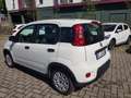 Fiat New Panda 1.0  Base Bianco - thumbnail 2
