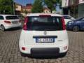 Fiat New Panda 1.0  Base Blanc - thumbnail 6