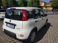 Fiat New Panda 1.0  Base Weiß - thumbnail 9