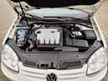 Volkswagen Golf GT Sport 1,9 TDI DPF 4motion Weiß - thumbnail 18