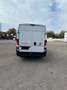 Fiat Ducato Maxi 35 L4H3 140 - thumbnail 3