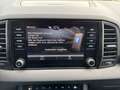 Skoda Karoq Sportline 2,0 TSI Allrad - Navi - Sitzheizung - Rü Gris - thumbnail 20