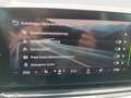 Skoda Octavia 4x4 Style TDI DSG Blau - thumbnail 24