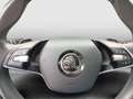 Skoda Octavia 4x4 Style TDI DSG Blau - thumbnail 22