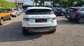 Land Rover Range Rover Evoque 2.2 TD4 5p. Prestige Blanco - thumbnail 5
