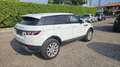 Land Rover Range Rover Evoque 2.2 TD4 5p. Prestige Blanco - thumbnail 6