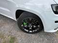 Jeep Grand Cherokee Grand Cherokee SRT Weiß - thumbnail 5