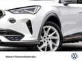 CUPRA Formentor 1.4 HYBRID CAM ACC LM18 SITZHEIZUNG Alb - thumbnail 6