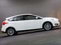 Ford Focus 1.0 EcoBoost Trend Edition Business (APPLE CARPLAY Wit - thumbnail 43