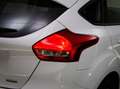 Ford Focus 1.0 EcoBoost Trend Edition Business (APPLE CARPLAY Wit - thumbnail 13