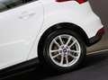 Ford Focus 1.0 EcoBoost Trend Edition Business (APPLE CARPLAY Wit - thumbnail 11