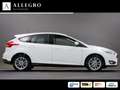 Ford Focus 1.0 EcoBoost Trend Edition Business (APPLE CARPLAY Wit - thumbnail 5