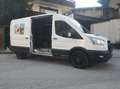 Ford Transit Kastenwagen TRAIL Allradantrieb L3H2 350 170PS Weiß - thumbnail 2