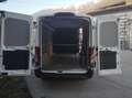 Ford Transit Kastenwagen TRAIL Allradantrieb L3H2 350 170PS Weiß - thumbnail 7