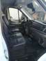 Ford Transit Kastenwagen TRAIL Allradantrieb L3H2 350 170PS Weiß - thumbnail 15