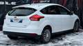 Ford Focus 1.5 TDCI 95CH STOP\u0026START TREND Blanc - thumbnail 8