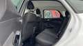 Ford Focus 1.5 TDCI 95CH STOP\u0026START TREND Blanc - thumbnail 7