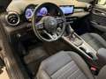 Alfa Romeo Tonale 1.6 Sprint 130cv tct6 Grigio - thumbnail 9