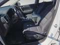 Kia Sportage 1,6 CRDI SCR MHD Silber DCT Aut. Weiß - thumbnail 11