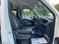 Fiat Ducato 2.3 150CV **TRASPORTO DISABILI 8 Posti *EURO 6 Bianco - thumbnail 4