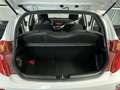 Kia Picanto 1.2 CVVT ISG Comfort Pack Blanco - thumbnail 9