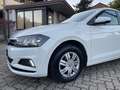 Volkswagen Polo Polo 5p 1.0 evo Comfortline 80cv Bianco - thumbnail 4