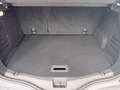 Renault Scenic Blue dCi 120 Limited *Navi, Winterpaket, AHV* Grau - thumbnail 22