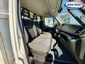 Iveco Daily 35c160 Centina semifurgone + sponda Bianco - thumbnail 15
