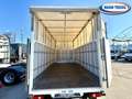 Iveco Daily 35c160 Centina semifurgone + sponda Bianco - thumbnail 11