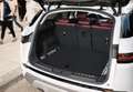 Land Rover Range Rover Evoque 2.0TD4 HSE Dynamic 4WD Aut. 150 Blanco - thumbnail 33