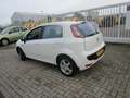 Fiat Punto Evo 1.2 Active, Nw apk Wit - thumbnail 2