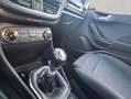 Ford Fiesta 1.0 EcoBoost S&S ACTIVE Winter-Paket Blanc - thumbnail 13