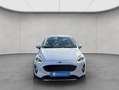 Ford Fiesta 1.0 EcoBoost S&S ACTIVE Winter-Paket Blanc - thumbnail 9