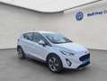 Ford Fiesta 1.0 EcoBoost S&S ACTIVE Winter-Paket Blanc - thumbnail 8