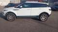 Land Rover Range Rover Evoque 2.2 TD4 Pure Weiß - thumbnail 8