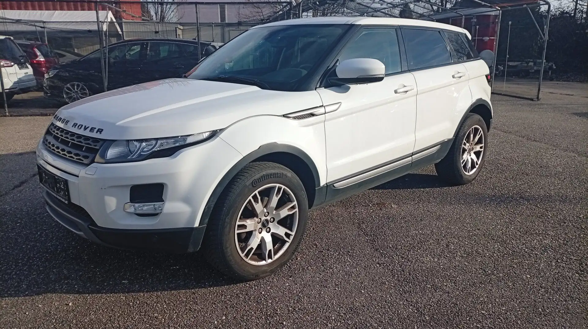 Land Rover Range Rover Evoque 2.2 TD4 Pure Weiß - 1