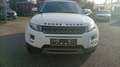 Land Rover Range Rover Evoque 2.2 TD4 Pure Weiß - thumbnail 2